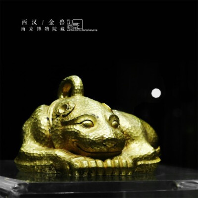 2014.2.15 南京博物院 西汉 金兽 #金色中国#特展 江苏盱眙南窑庄出土.目前为止全国考古发现最重的一件金器,重9100克.通体锤饰圆形斑纹,此种制作手法亦极为少见.