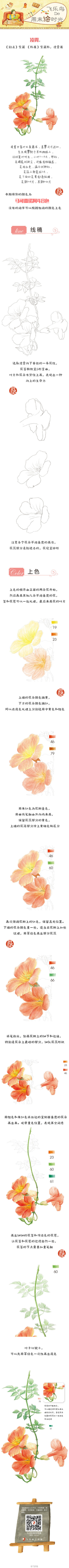 #飞乐鸟的周末绘时光# 凌霄花寓意慈母之爱，经常与冬青、樱草放在一起，结成花束赠送给母亲，表达对母亲的热爱之情。亲爱的同学们，母亲节就要来临，快去对母亲表达你的爱意吧！ 同时也不要忘了交上你的作业哟！