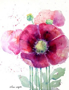 Pink Poppies by Arline Wagner (watercolor) Print available for purchase ---*--- Love the transparent look to this painting.