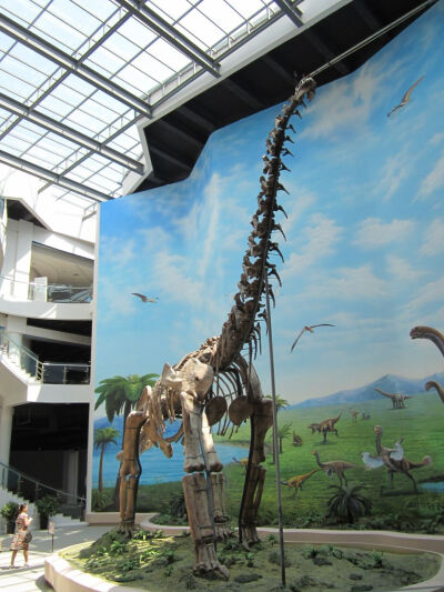 去辽宁古生物博物馆看霸气外漏的恐龙。辽宁旅游景点http://liaoning.yilule.com/jingdian