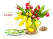 复活节郁金香图片