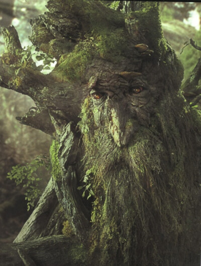 Treebeard from Lord of the Rings 远古守护者 树人 指环王 魔戒