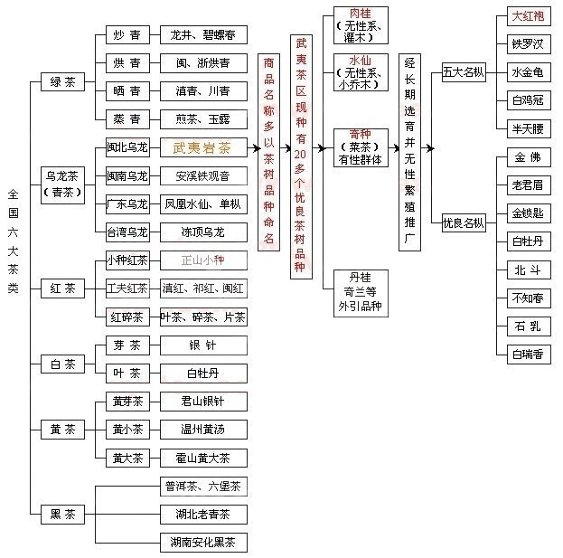 一张图教你看懂中国茶分类另一版本