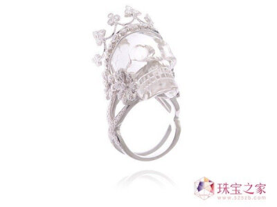 骷髅和花朵 梦幻仙境