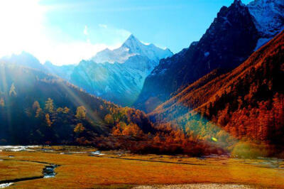 坚硬的石头开出了一朵朵有花瓣的石头花 广西旅游景点大全http://guangxi.yilule.com/jingdian