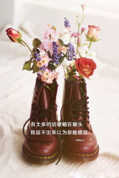 文字 摄影 小清新 手机壁纸 文艺