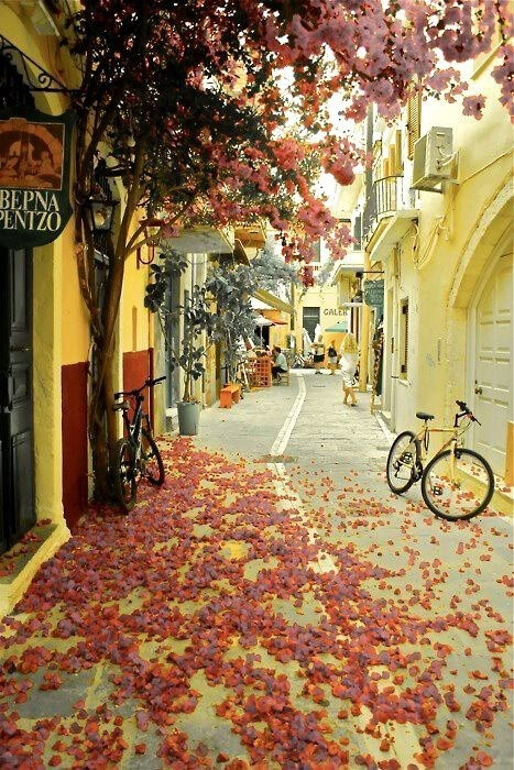 落叶#干尼亚-希腊 #fallen leafs #Chania - Greece