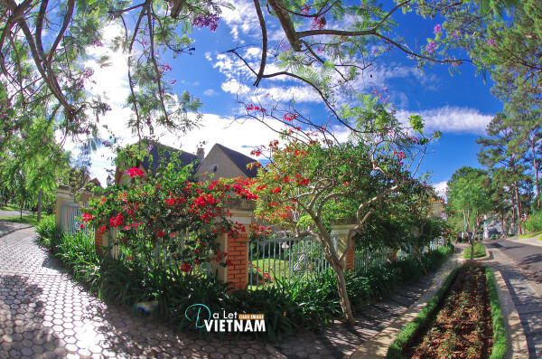 越南自助游图片