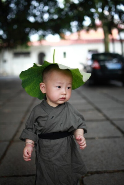 西禅寺超可爱小和尚，萌到一脸的血了 摄影｜莫默momov