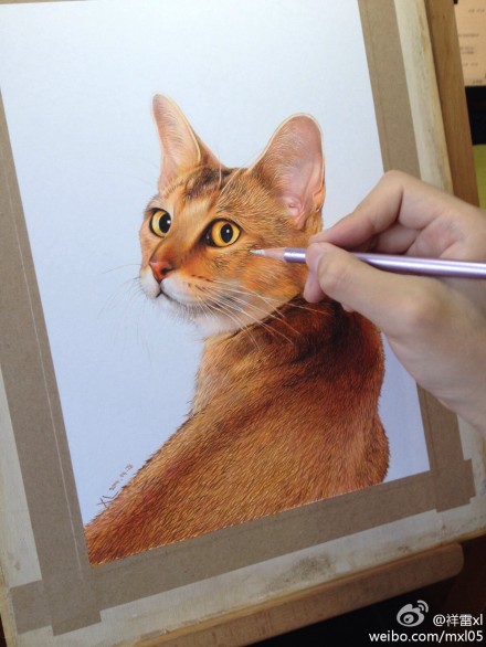 2014猫第二季@名猫休闲馆 @站酷网 @冠雅Crownia @qouop 新书敬请期待