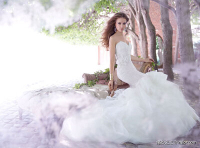 ALVINA VALENTA 2013秋冬系列婚纱礼服 更多: http://www.imior.com/goods/show?gid=1306