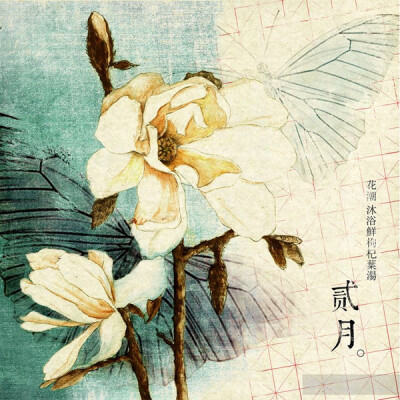 美轮美奂的十二月花绘