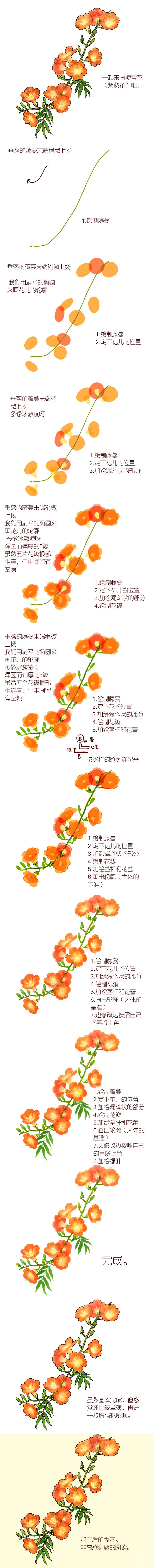 凌霄花画法