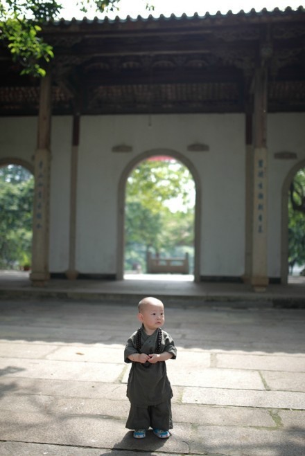 这是莫默momov在福州西禅寺给自己的儿子拍的一套超可爱的小和尚写真，不是真的出家当小和尚喔，大家一起换了一下吧。~