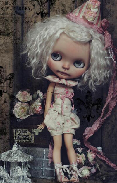 Blythe ▼ 光看这些行头就知道，要把小布养好是相当不简单的