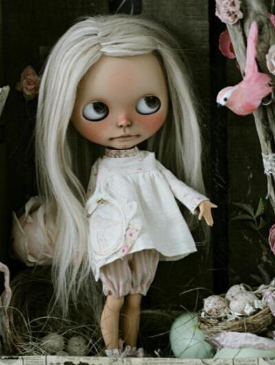 Blythe ▼ 光看这些行头就知道，要把小布养好是相当不简单的