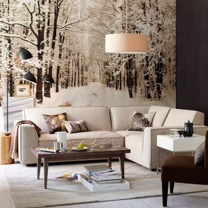 Snowdrift Wallpaper Mural - $469的图片