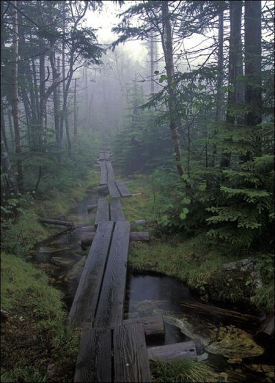 The Long Trail, Vermont