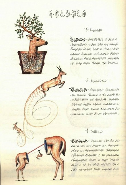 上世纪70年代后期，意大利艺术家、建筑师 Luigi Serafini 历时两年多编著了一本“幻想世界的博物学”著作《Codex Seraphinianus》，描绘了一个神秘离奇的超现实世界，内容涉及动物学、植物学、解剖学、文化活动等各个领域，由一种未知的语言写成。【相关：http://weibo.com/3931672306/B3eR0mysy 】