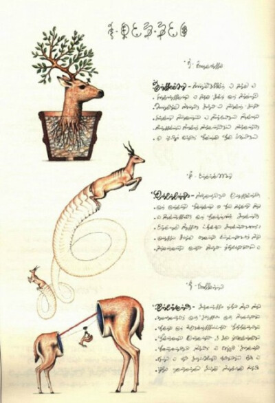上世纪70年代后期，意大利艺术家、建筑师 Luigi Serafini 历时两年多编著了一本“幻想世界的博物学”著作《Codex Seraphinianus》，描绘了一个神秘离奇的超现实世界，内容涉及动物学、植物学、解剖学、文化活动等各…