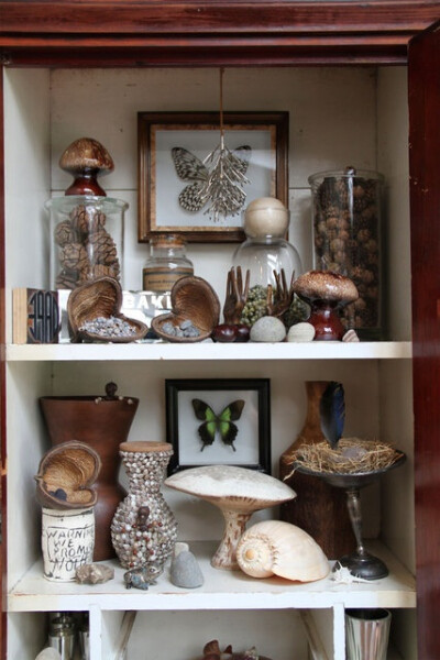 A nature shadow box