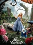 电影《爱丽丝梦游仙境》（Alice in Wonderland ）讲述了发生在爱丽丝上次梦游仙境的十三年后的故事，已经20岁的爱丽丝去一个庄园参加一个聚会，爱丽丝选择了逃跑，她跟着一只白兔钻进了一个洞，来到了“仙境”，虽然7岁那年她曾来过这里，但此时已毫无印象。有一大帮爱丽丝的朋友欢迎她的归来，他们期待着爱丽丝。这部迪士…