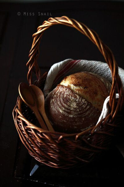 Food photography styling still life Basket of bread Pain de Campagne