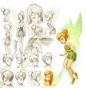 Tinker Bell Study