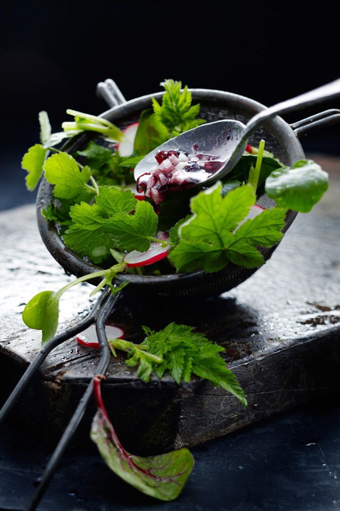 Wild leaf salad