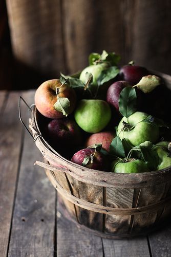 apple harvest in Georgia