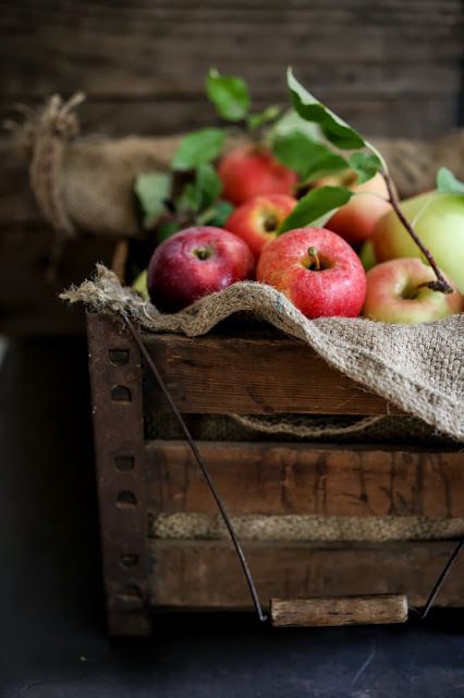 wistfullycountry: feasting at home - beautiful apples