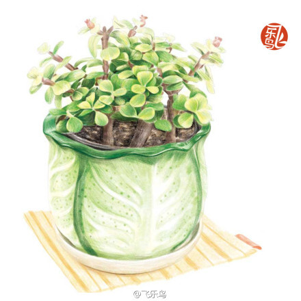 #飞乐鸟作品# 《植物绘Ⅱ》——养一盆绿植，细心浇灌，成长到正好的时候，在某个舒服的晴天拿出画笔细心描绘，幸福无比。飞乐鸟最新书《植物绘2 》彩色铅笔绘画书 自学教程 满159包邮