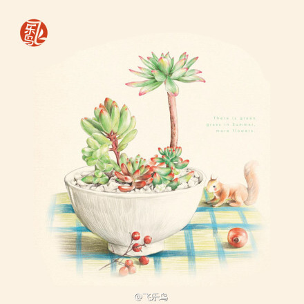 #飞乐鸟作品# 《植物绘Ⅱ》——养一盆绿植，细心浇灌，成长到正好的时候，在某个舒服的晴天拿出画笔细心描绘，幸福无比。飞乐鸟最新书《植物绘2 》彩色铅笔绘画书 自学教程 满159包邮