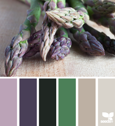 asparagus hues