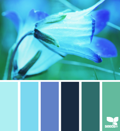 flora blue