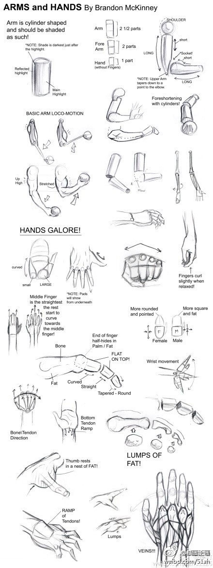 手和手臂的画法教程