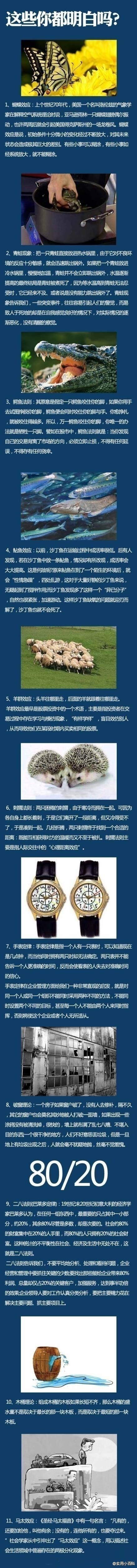  【不论你学什么专业，都该了解这些名词】蝴蝶效应、青蛙现象、鳄鱼法则、鲇鱼效应、羊群效应、刺猬法则、手表定律、破窗理论、二八定律、木桶理论、马太效应，这些你都明白吗？你在用吗？ （转）