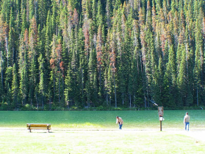 曼宁省立公园(E.C. Manning Provincial Park) 闪电湖（Lightening Lake）