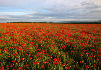 Hampshire Landscape Photography