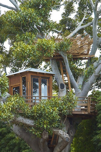 i love tree houses