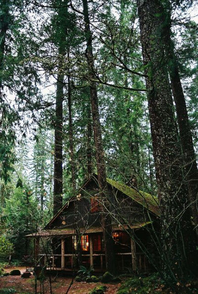 cabin mt hood