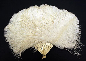 Fan, 1850, American or European, made of feathers and ivory.