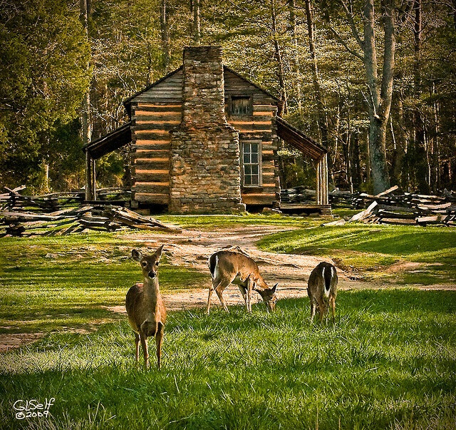 Living among nature.