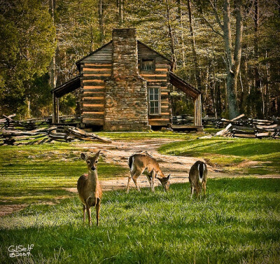 Living among nature.