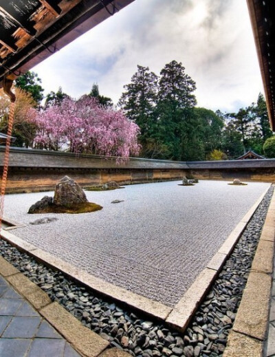 日本枯山水庭院。静中有动，水木相生。「网图」