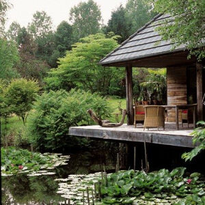 Overlooking the pond