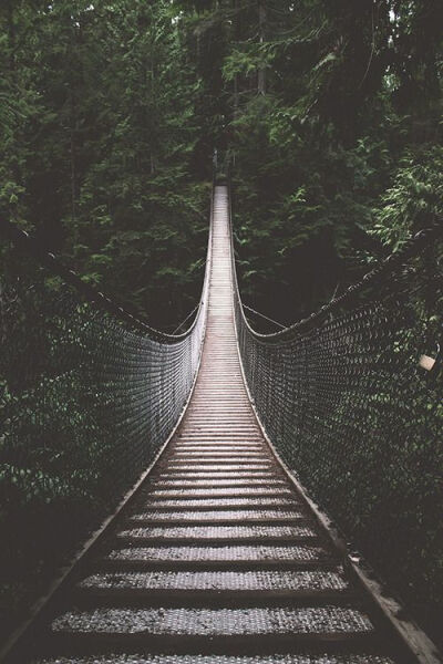 Lynn Canyon Suspension Bridge, Vancouver - Canada. By Bronson Snelling