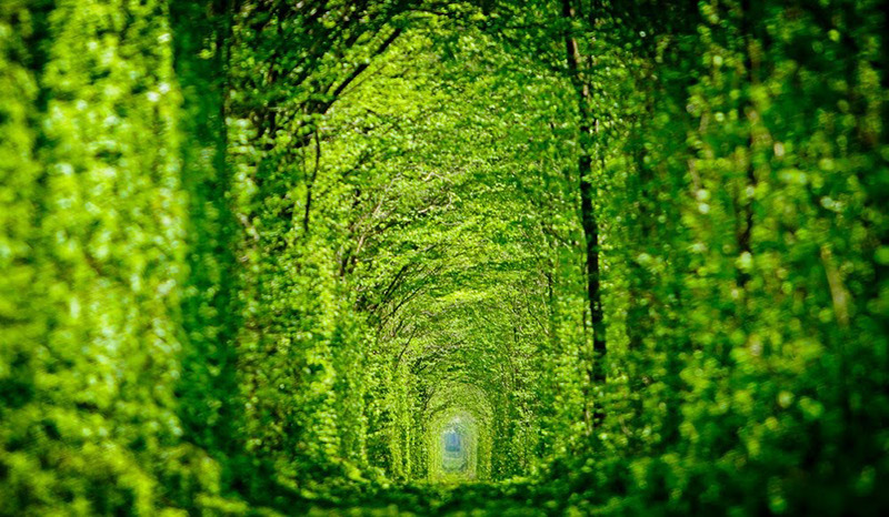 【愛的隧道】Tunnel Of Love位在烏克蘭西部羅夫諾區(Rivne)的小鎮克萊文(Kleven)上，有一條由綠色藤蔓圍成的火車隧道。置身其中，仿佛走進一個室外“秘密花園”。鐵路全長 1.8 公里，目前仍有一輛運送木料到工廠的私人火車從此經過。在東歐，這條美麗的隧道已成為相愛之人許下承諾的熱門地，“愛的隧道”由此得名，又被稱為世界上最美麗的隧道。