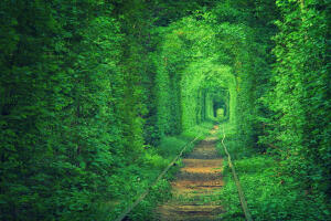 【愛的隧道】Tunnel Of Love位在烏克蘭西部羅夫諾區(Rivne)的小鎮克萊文(Kleven)上，有一條由綠色藤蔓圍成的火車隧道。置身其中，仿佛走進一個室外“秘密花園”。鐵路全長 1.8 公里，目前仍有一輛運送木料到工廠的私人火車從此經過。在東歐，這條美麗的隧道已成為相愛之人許下承諾的熱門地，“愛的隧道”由此得名，又被稱為世界上最美麗的隧道。