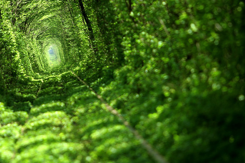 【愛的隧道】Tunnel Of Love位在烏克蘭西部羅夫諾區(Rivne)的小鎮克萊文(Kleven)上，有一條由綠色藤蔓圍成的火車隧道。置身其中，仿佛走進一個室外“秘密花園”。鐵路全長 1.8 公里，目前仍有一輛運送木料到工廠的私人火車從此經過。在東歐，這條美麗的隧道已成為相愛之人許下承諾的熱門地，“愛的隧道”由此得名，又被稱為世界上最美麗的隧道。